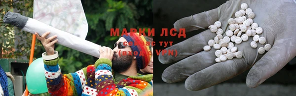 гидропоника Алзамай