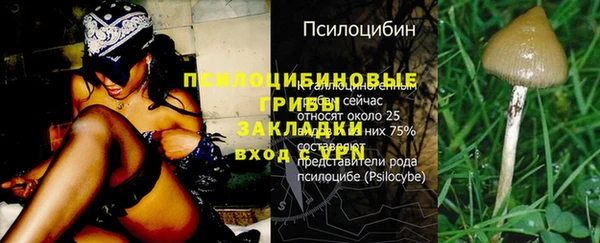 герыч Алексеевка