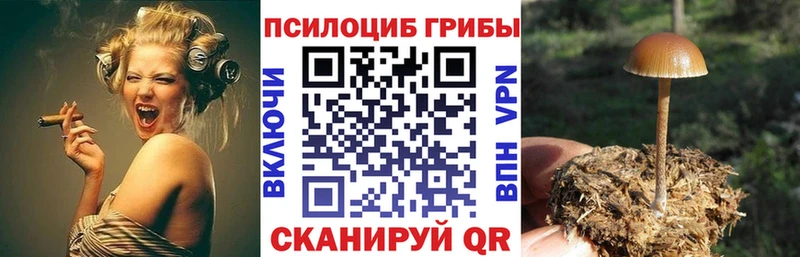 Галлюциногенные грибы MAGIC MUSHROOMS  купить  сайты  Почеп 